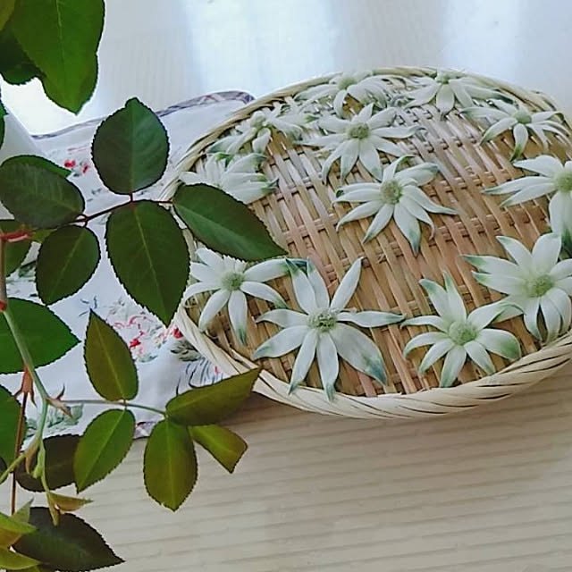 hm99さんの実例写真
