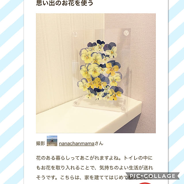 nanachanmamaさんの実例写真