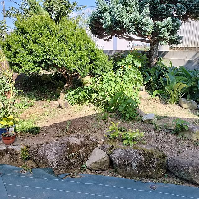 sumimarumiさんの部屋