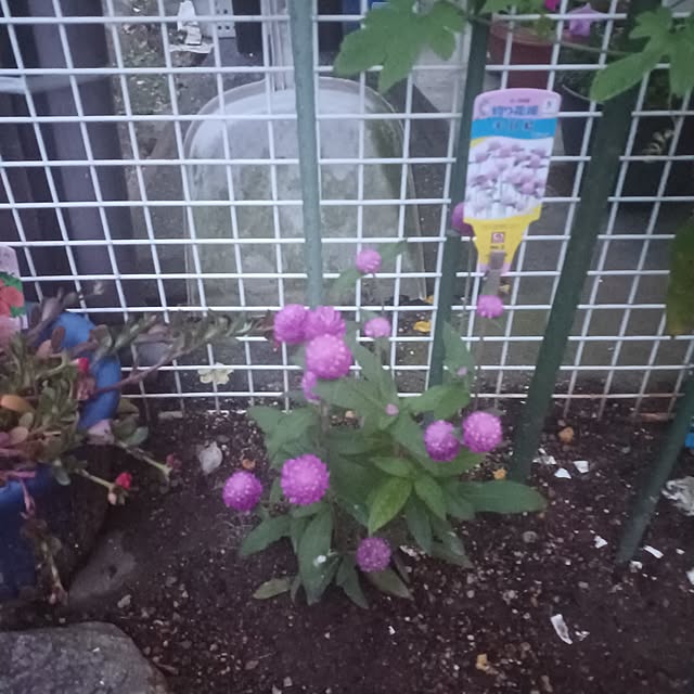 tuushiさんの実例写真