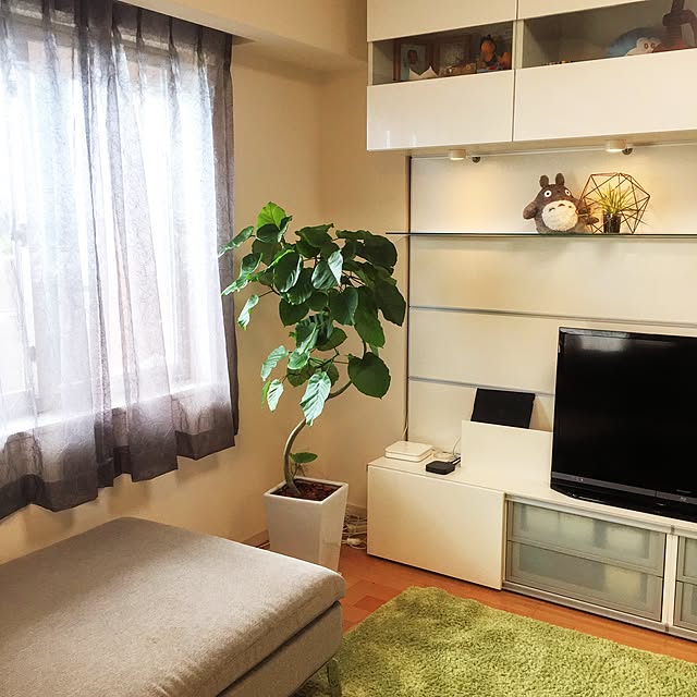 ffgreenさんの実例写真