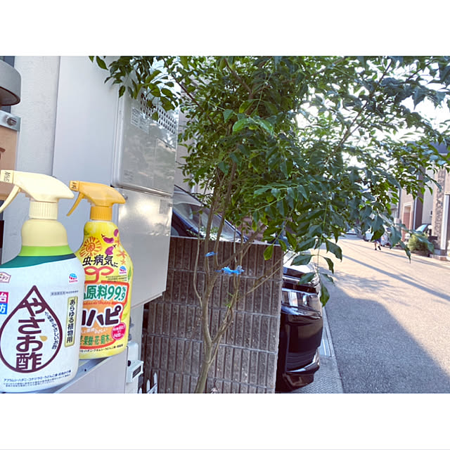 _rm_さんの実例写真