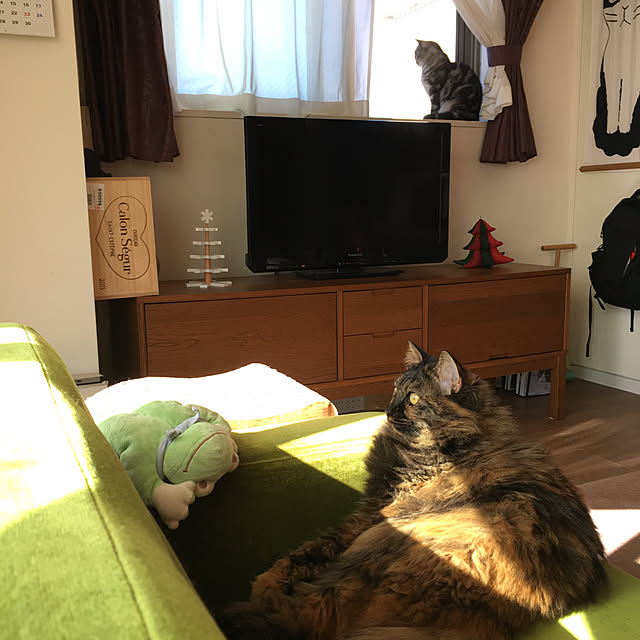 mikomaruさんの実例写真
