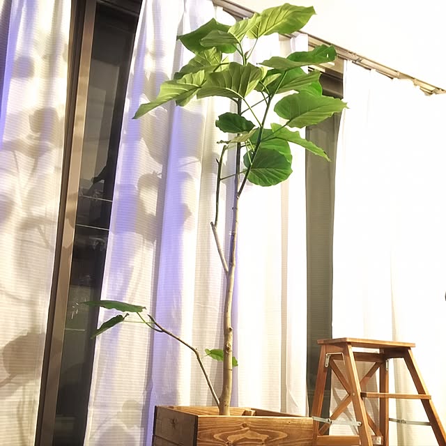 sachi0512さんの実例写真