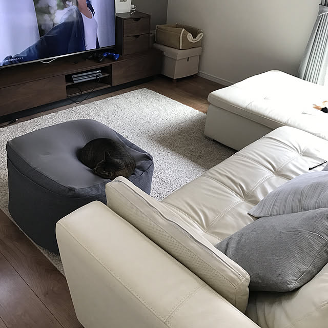 Moraiさんの実例写真