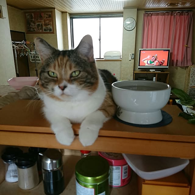 yukieさんの実例写真