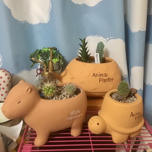Sorataさんの実例写真