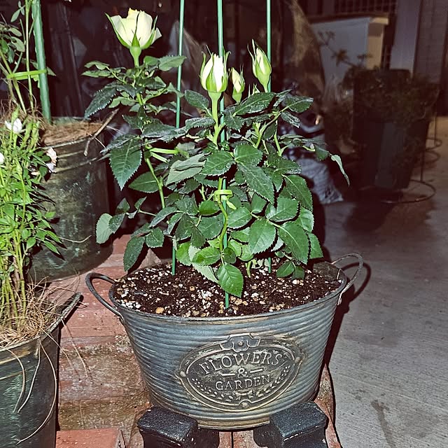 mocomocoさんの部屋