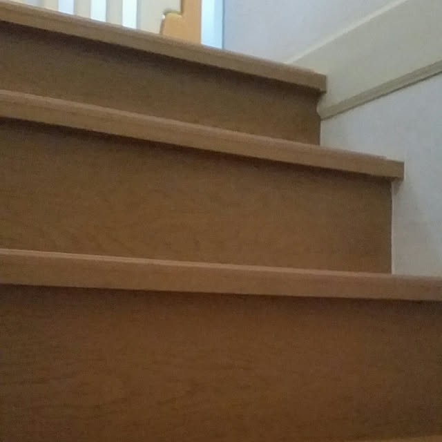 bassさんの実例写真