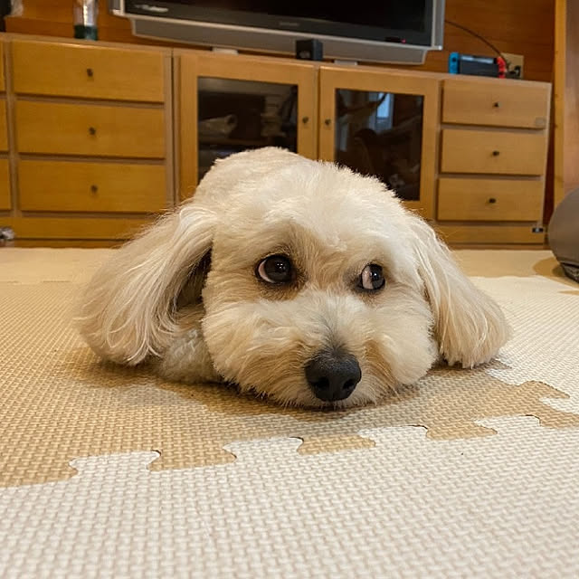 kayoさんの実例写真
