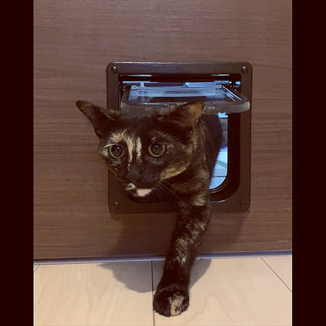 Hanaさんの実例写真