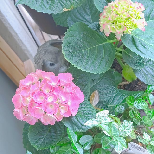 mariaさんの実例写真