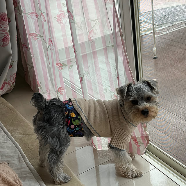marikoさんの実例写真