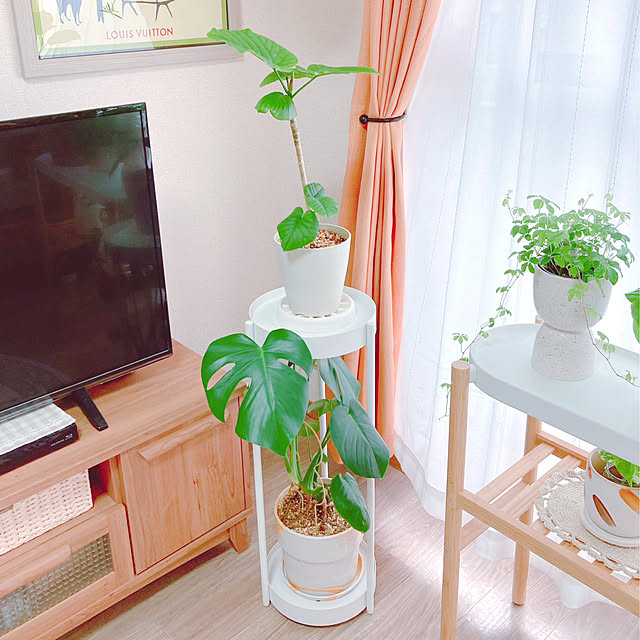 yuyuさんの部屋