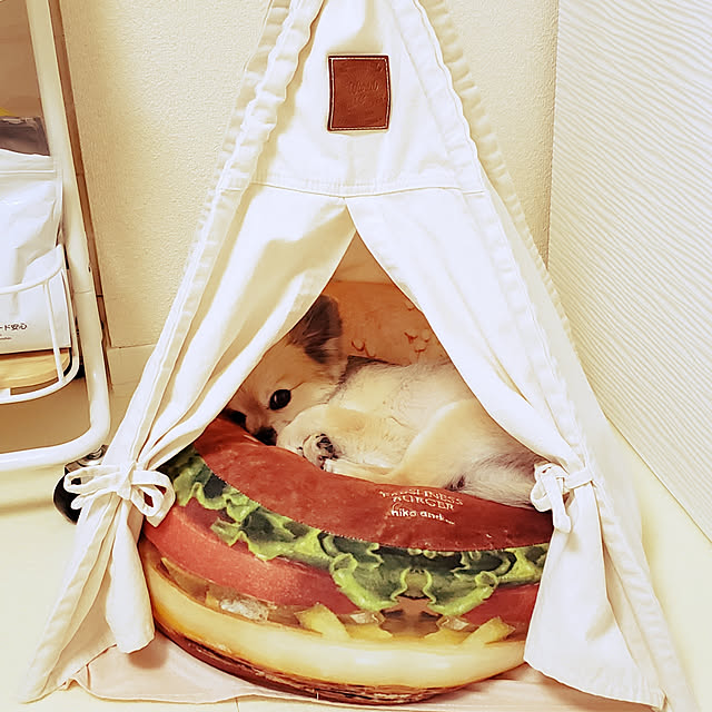 Yasukoさんの実例写真