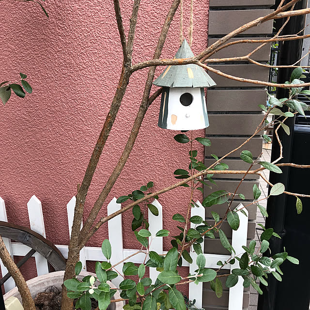 snowさんの実例写真