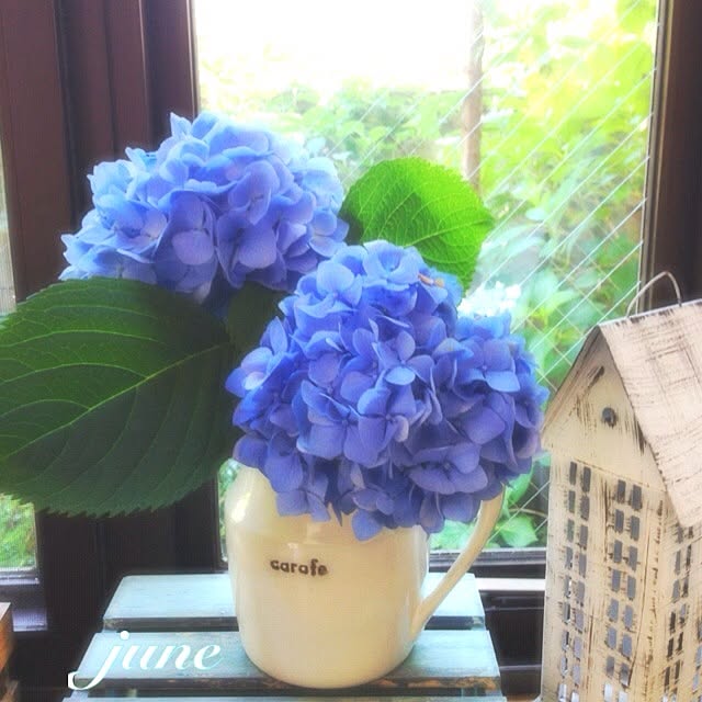 chiekoさんの実例写真