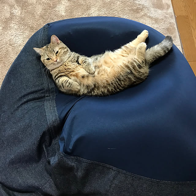 keibooさんの実例写真