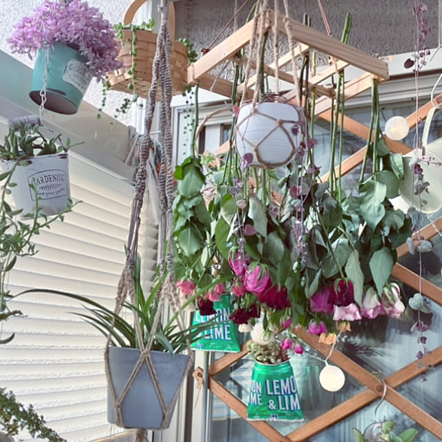 tararaさんの部屋