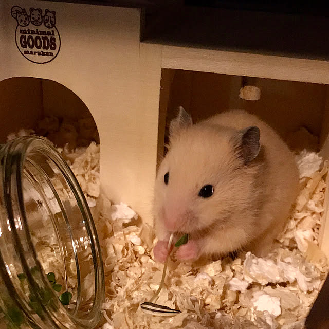 butachanさんの実例写真