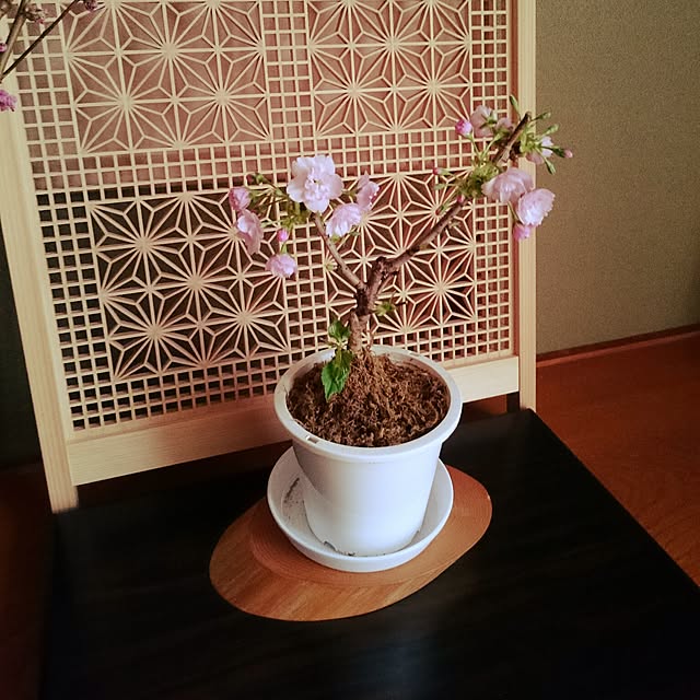 mozuku315さんの実例写真