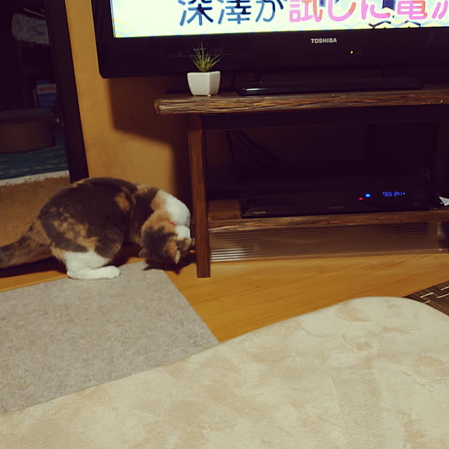 fukuさんの実例写真