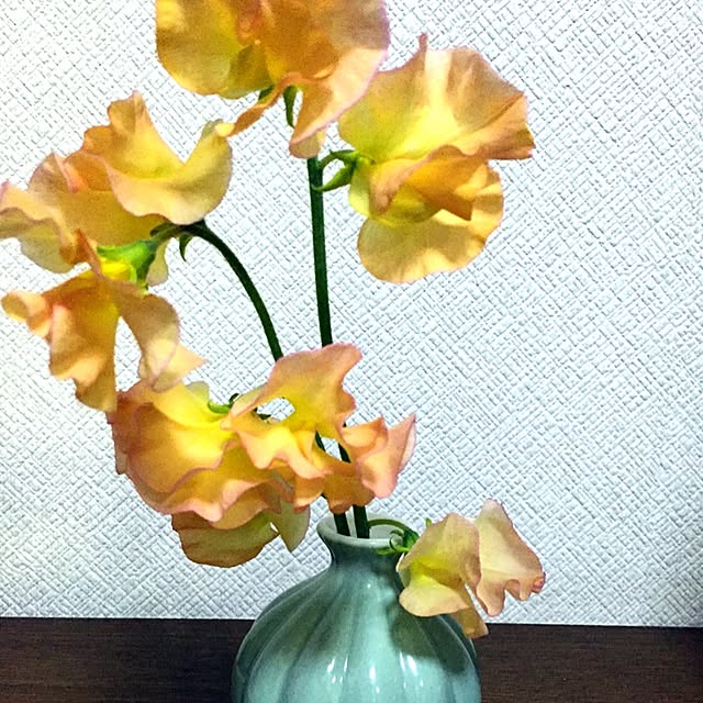 Asunaさんの実例写真