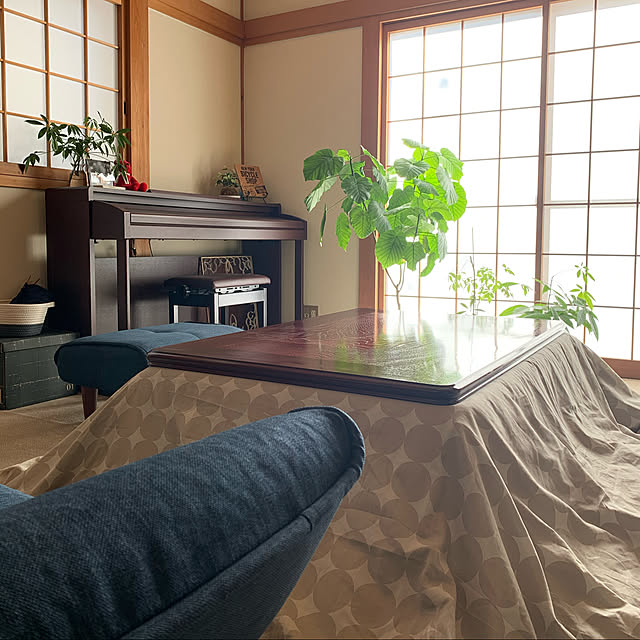 yu-ka-naさんの実例写真