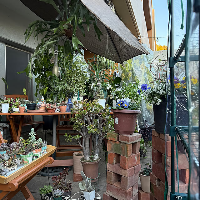 Aqettyさんの部屋