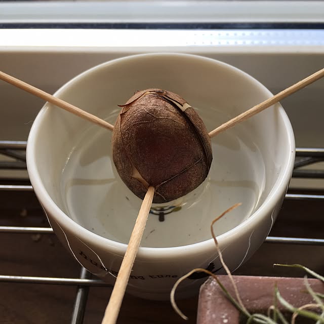 nomnom888さんの実例写真