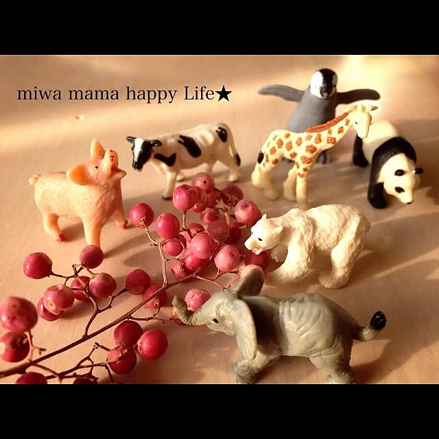 miwaさんの実例写真