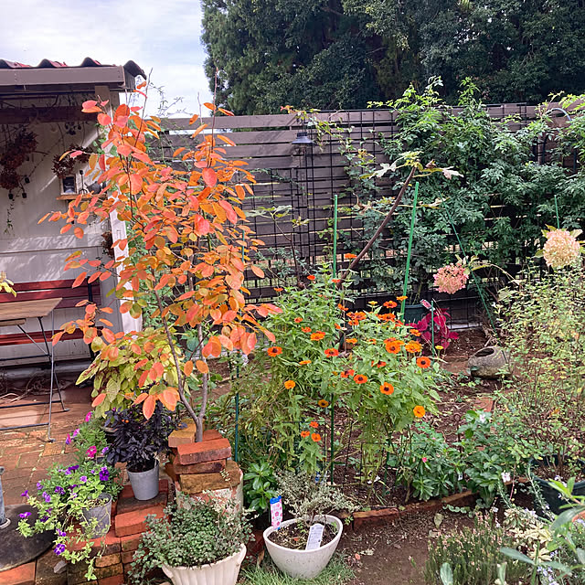 ekkoさんの実例写真