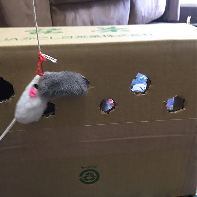masaさんの実例写真