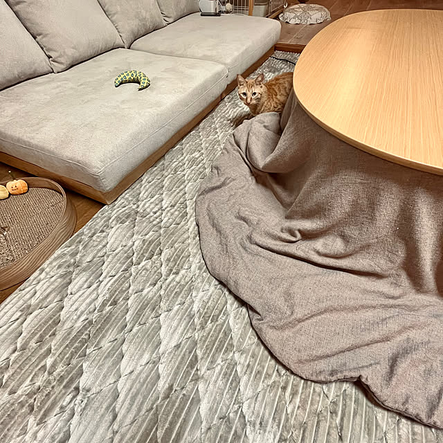golf21さんの部屋