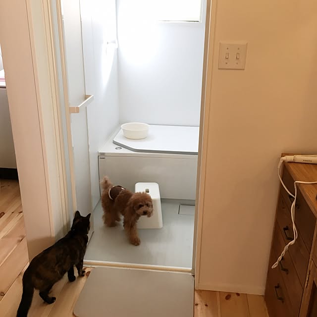 blanchomeさんの実例写真