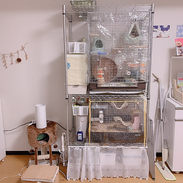 pipitan______さんの実例写真