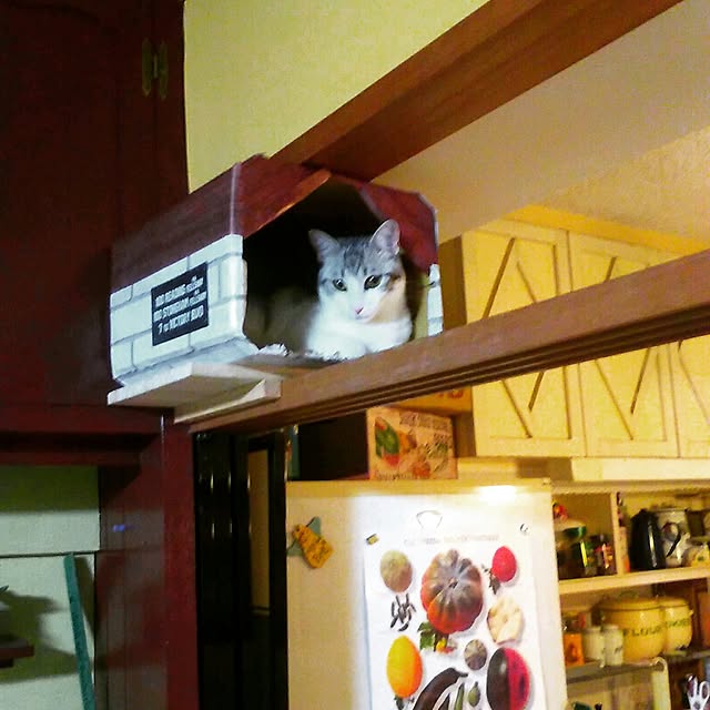 syungikuさんの実例写真