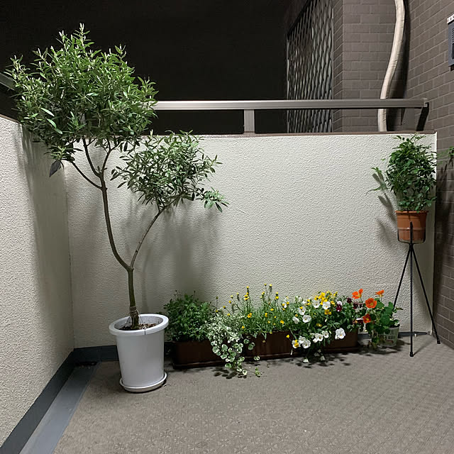 fuxi0413さんの実例写真