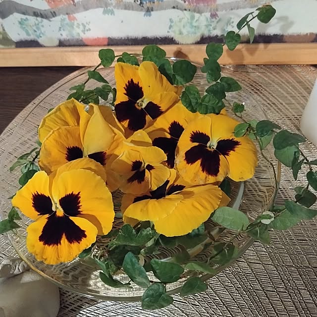 kakkaさんの部屋