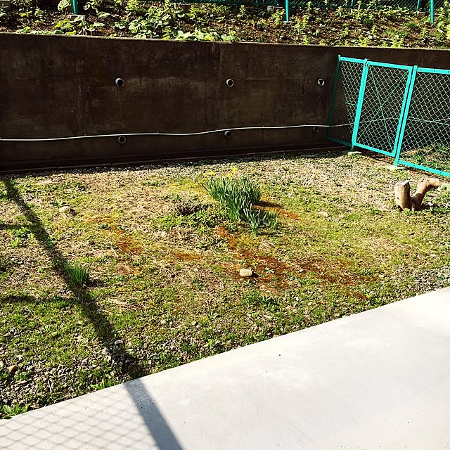 suguruさんの実例写真