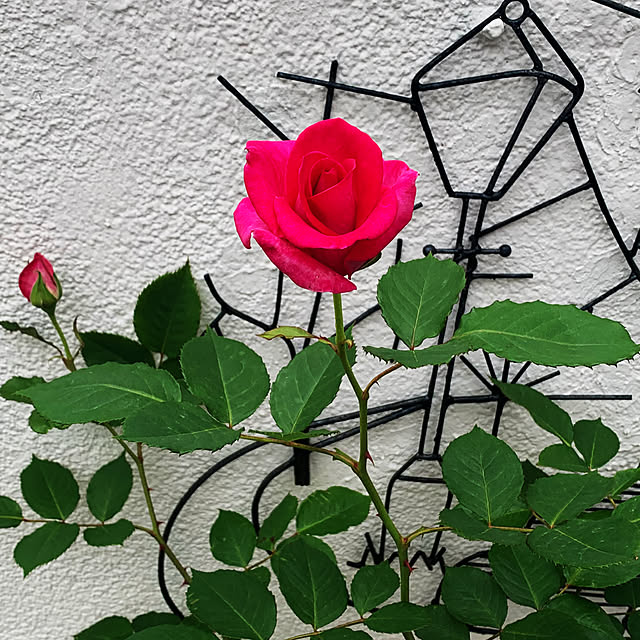Nさんの部屋