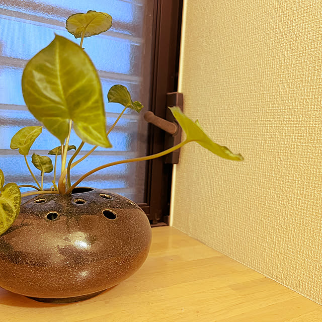 FUMさんの実例写真