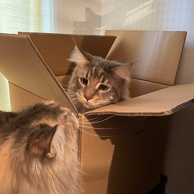 mayumiさんの部屋
