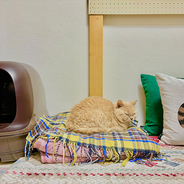 naokoさんの実例写真