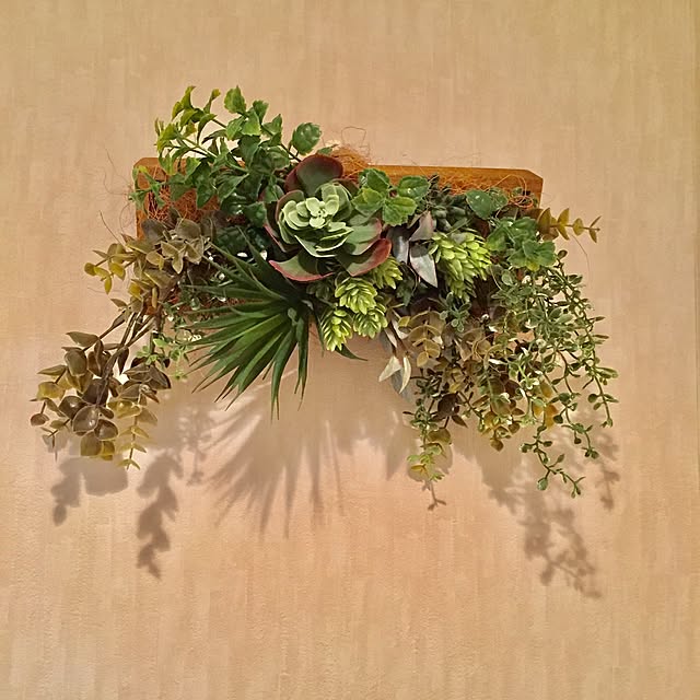 ijuさんの実例写真