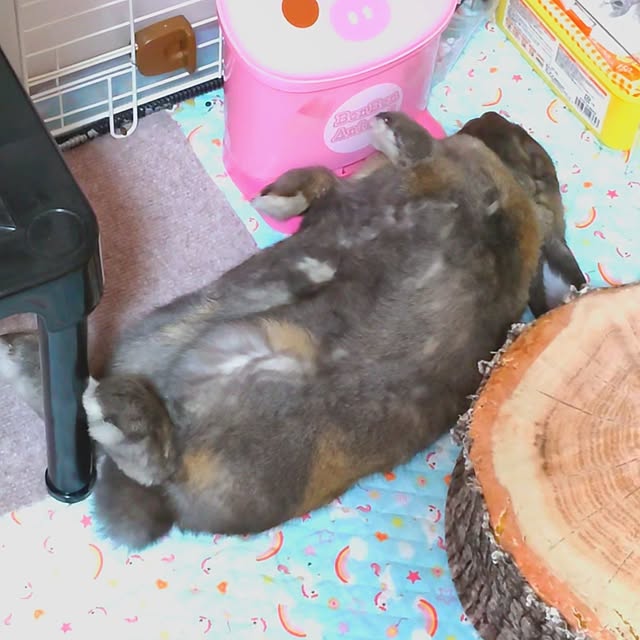 mariaさんの実例写真