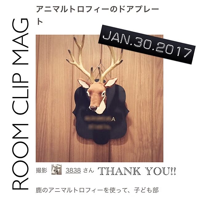 ハンティングトロフィー 鹿のおしゃれなアレンジ・飾り方のインテリア実例 ｜ RoomClip（ルームクリップ） | RoomClip（ルームクリップ）