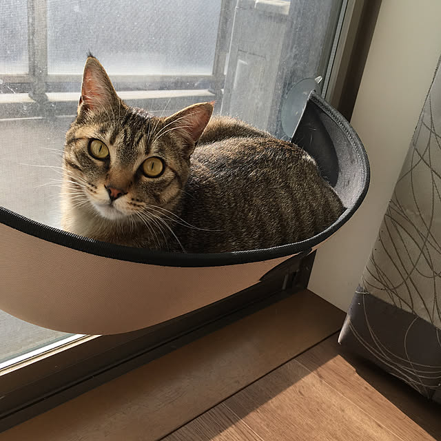mikomaruさんの実例写真