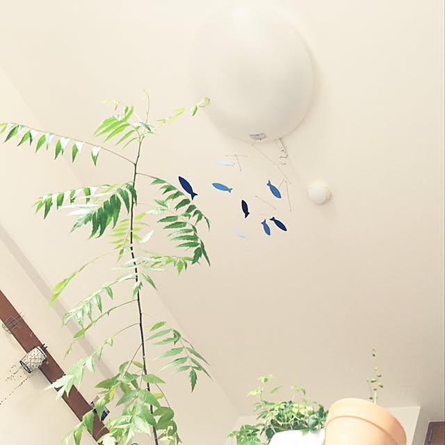 dedenshaさんの実例写真