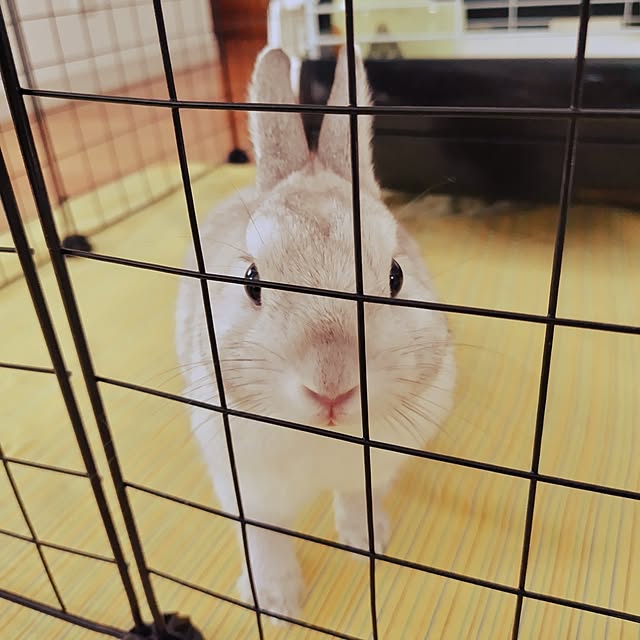 mutsuさんの部屋